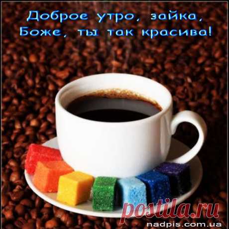 Прикольные картинки для подруг «С добрым утром!» (36 фото) ⭐ Забавник