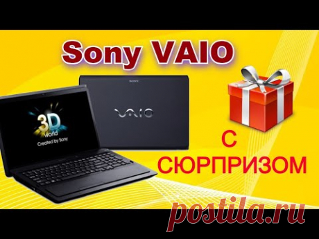 Принесли подклеить петли на Sony VAIO PCG-81314V. А там....