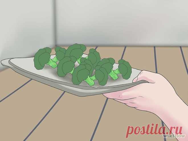 Как вылечить Хеликобактер Пилори натуральными способами