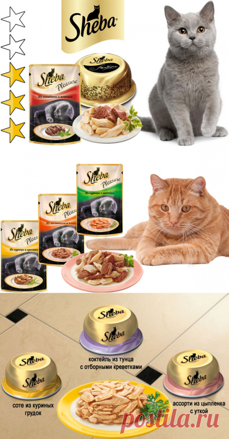 Корм для кошек Шеба (Sheba): обзор, виды, состав, отзывы