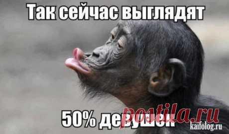 38 открыток с юмором | Prikolisti.com