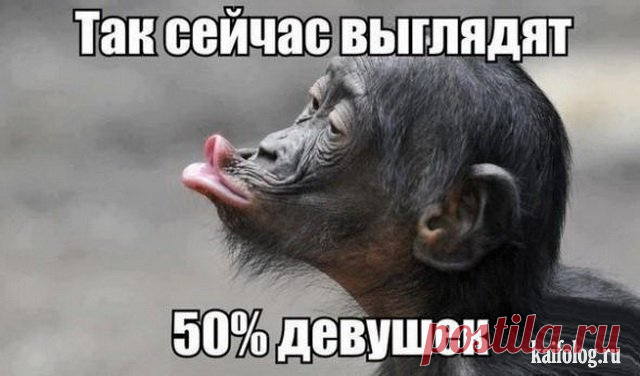 38 открыток с юмором | Prikolisti.com