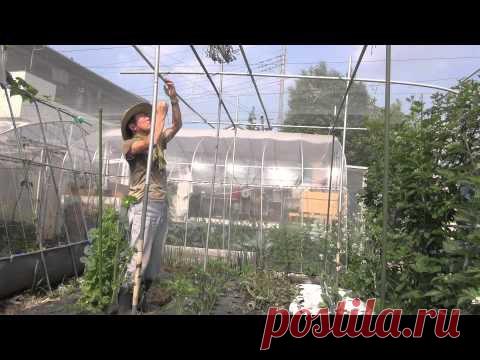 Выращивание овощей на малых площадях. Япония..