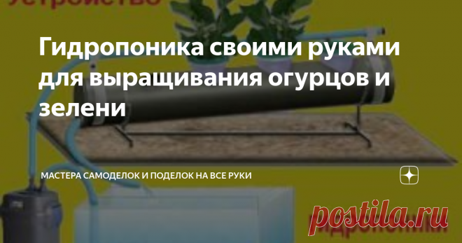 Гидропоника своими руками для выращивания огурцов и зелени Статья автора «Мастера на все руки» в Дзене ✍:  Содержание статьи: Кто не мечтал выращивать у себя на балконе круглый год цветы, свежую зелень и огурцы.