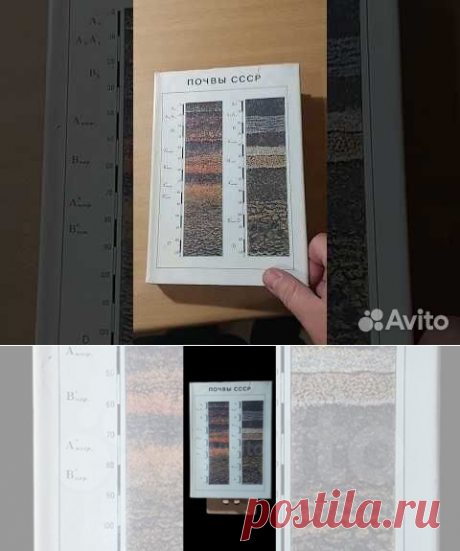 Это первый в нашей стране научно-популярный справочник-определитель,... купить в Москве | Авито