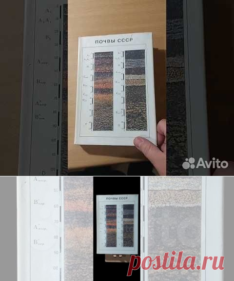 Это первый в нашей стране научно-популярный справочник-определитель,... купить в Москве | Авито