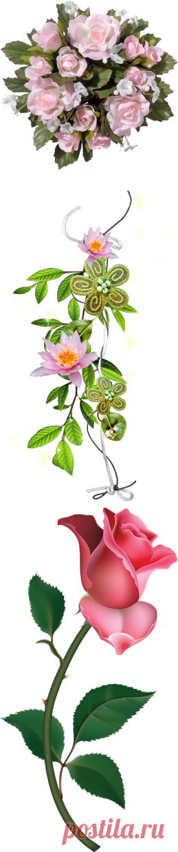 Яндекс.Фотки