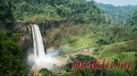 48 фактов о Камеруне | Город Фактов