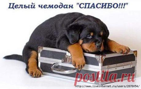 Subject: ПОТРЯСАЮЩАЯ ПОЗНАВАТЕЛЬНАЯ СТРАНИЧКА.