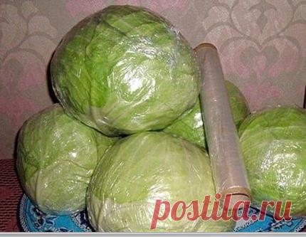 ПРОВЕРЕННЫЙ СПОСОБ ХРАНЕНИЯ КАПУСТЫ
Сохраните, чтобы не потерять!
Сохранить капусту поможет обычная пищевая пленка. Для начала удалите с кочанов подпорченные, пожелтевшие, сухие листья.
Срежьте кочерыжку. Чистый кочан герметично оберните пленкой в несколько слоёв, плотно приглаживая каждый.
Двух слоёв, как правило, вполне достаточно. Упакованную капусту укладывают, в идеале, в ящики, но можно хранить на полках или мешках.
Раз в месяц кочаны рекомендуется проверять на предм...
