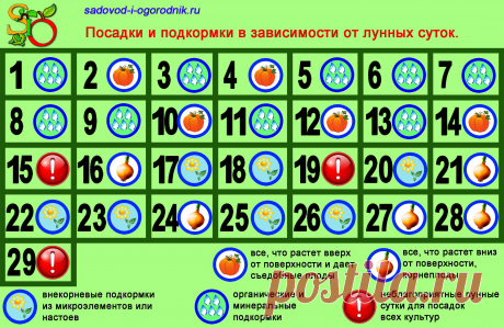 Луна в знаках зодиака: растущая и убывающая, фазы и влияние знаков на посадки. Учимся лучше понимать лунный календарь.
