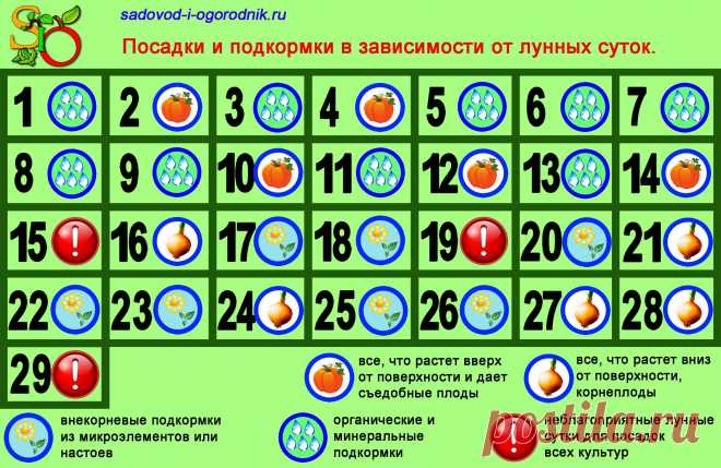 Луна в знаках зодиака: растущая и убывающая, фазы и влияние знаков на посадки. Учимся лучше понимать лунный календарь.