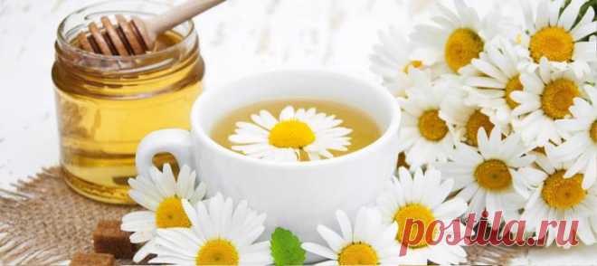 Ромашка для кишечника. Четыре ценнейших рецепта!
