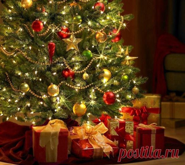 Фото группы | Фотографии КРАСИВЫЕ КАРТИНКИ. ВИДЕО. МИР, В КОТОРОМ МЫ ЖИВЕМ! | 9497 фото | Группы Мой Мир