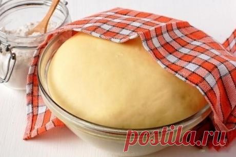 Полезные советы: тесто