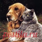 -Ну!!! Мазила-а-а-ааа...