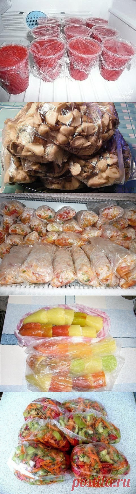 Сохраняем овощи и фрукты методом заморозки