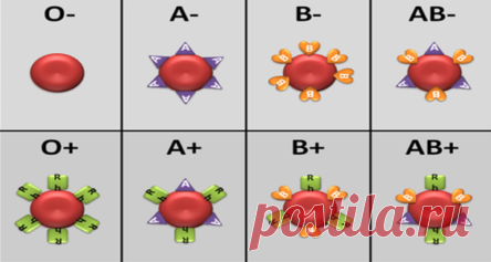 Ваша группа крови раскрывает многое о вашем здоровье! Обратите на это внимание!