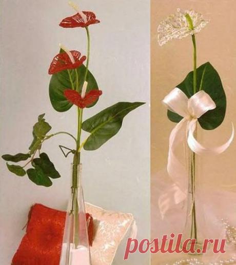 Одноклассники