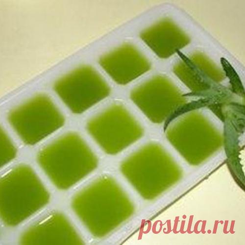 Рецепт молодости: Биостимулированный сок алоэ