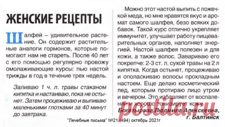 Омолаживающие курсы с шалфеем (женские рецепты)