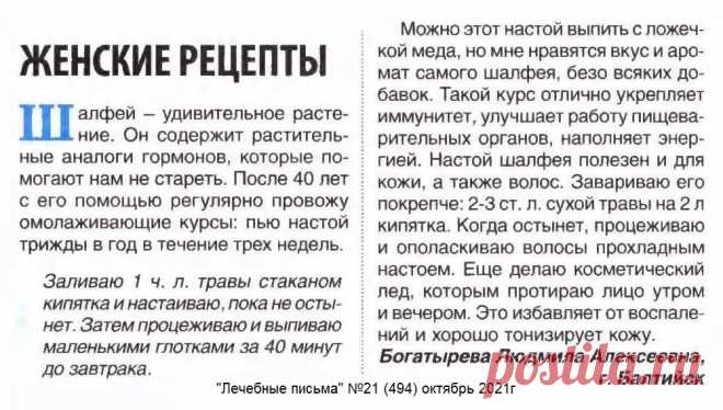 Омолаживающие курсы с шалфеем (женские рецепты)
