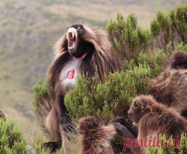 ---ОБЕ-Е-Е-Д  !!!!!