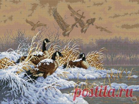 Скачать вышивку птицы