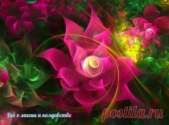 Цветок-талисман по Знаку Зодиака
============================
Каждая женщина любит получать в подарок цветы. Но не каждая знает, какой цветок является ее талисманом по Знаку Зодиака. Эти знания помогут достичь энергетической гармонии с окружающим миром.
Цветы-обереги могут быть не только живым растением. Ведь далеко не всегда можно обзавестись на круглый год кустом боярышника или вырастить подсолнух в домашних условиях. Помогают также талисманы-изображения вашего цветка по Знаку Зодиака. Можно