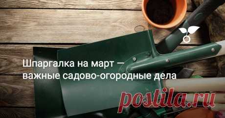 Что не забыть сделать садоводу-огороднику в марте: на подоконниках, в саду, в хранилище?