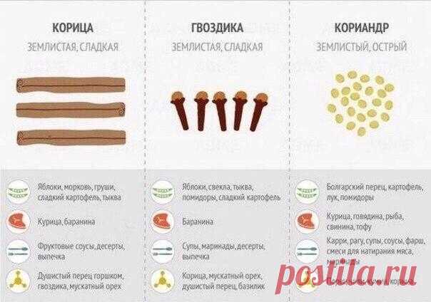Удобная шпаргалка по специям