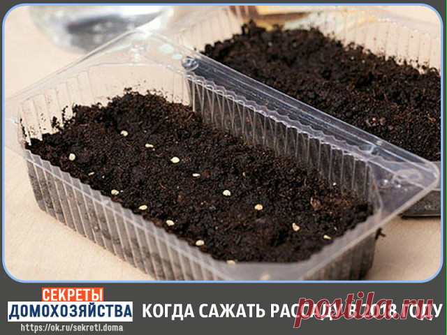 Одноклассники