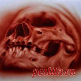 elreydelmundo1's Boards - DashBurst