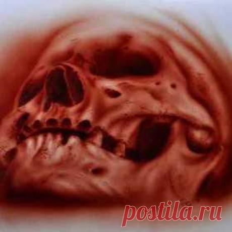 elreydelmundo1's Boards - DashBurst