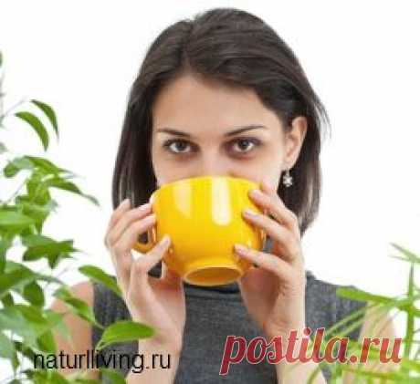 Натуральная альтернатива антибиотикам. Народная медицина. Здоровая, натуральная жизнь