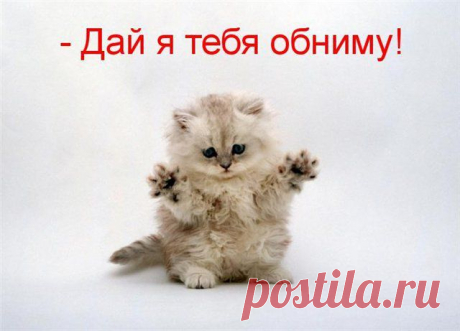 a70064630f93.jpg (640×461)