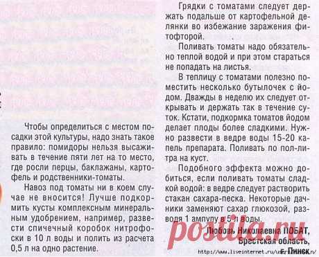 ПРАВИЛА ДЛЯ ТОМАТОВ