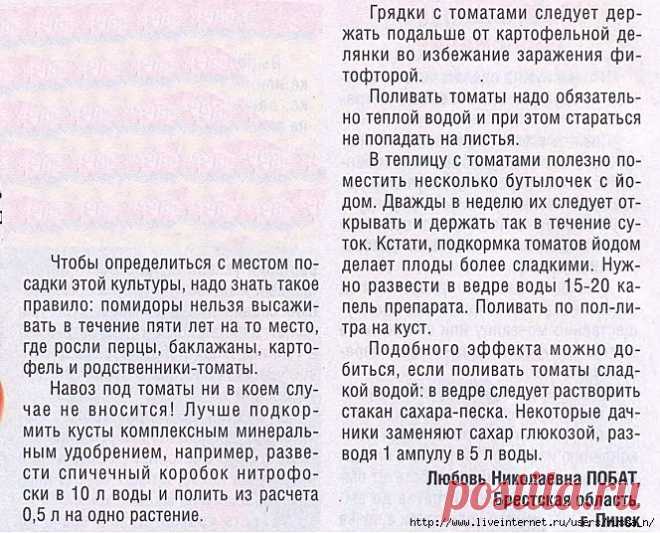 ПРАВИЛА ДЛЯ ТОМАТОВ