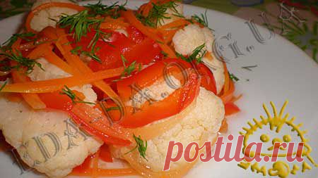Кулинарный блокнотик для дочери - Закуски - Домашний рецепт закусок из овощей - Овощная закуска из цветной капусты, сладкого перца и моркови