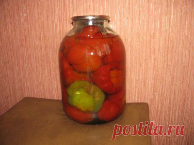 Мой перец для фарширования : Болгарский перец