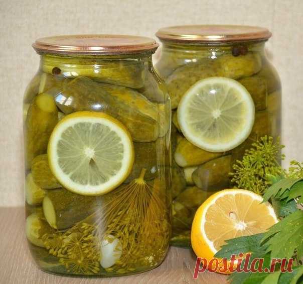 ОЧЕНЬ,ОЧЕНЬ ВКУСНЫЕ ОГУРЧИКИ 