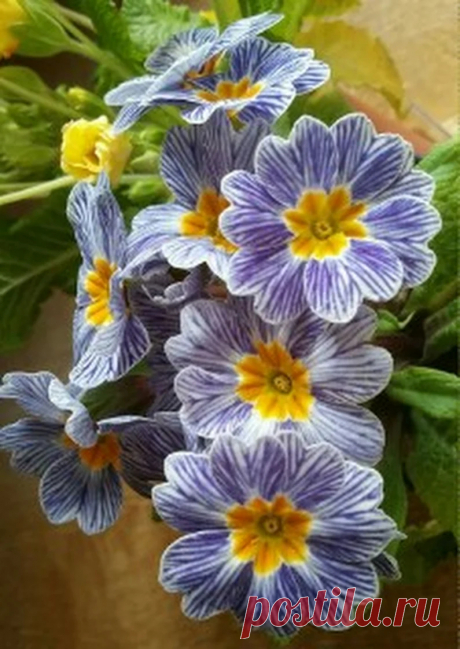 Mari Ann Amar - Google+
