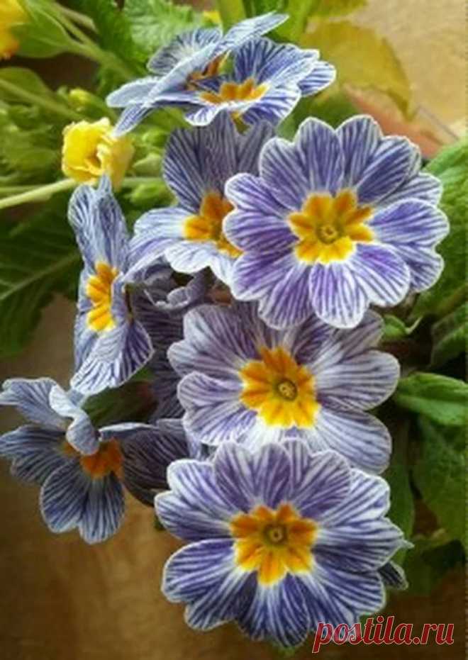 Mari Ann Amar - Google+