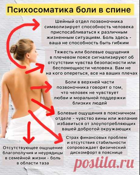 О чем говорит боль в спине. Согласны?