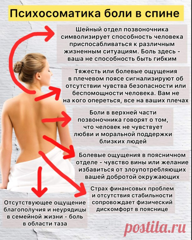 О чем говорит боль в спине. Согласны?