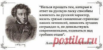 САМОЕ ИНТЕРЕСНОЕ ✦ ЛУЧШЕЕ ВИДЕО (16 ✚)
Борис митрошин