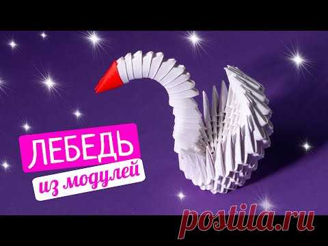 Как сделать лебедя из бумаги [Модульное оригами]
