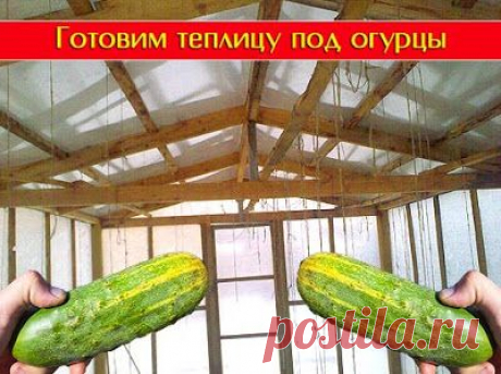 Готовим теплицу под огурцы