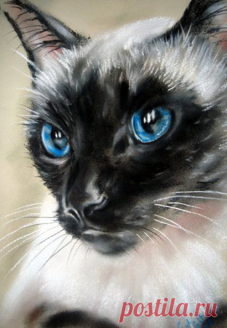 (35) Pinterest