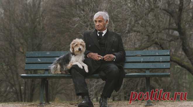 Прощание с легендой: умер Жан-Поль Бельмондо